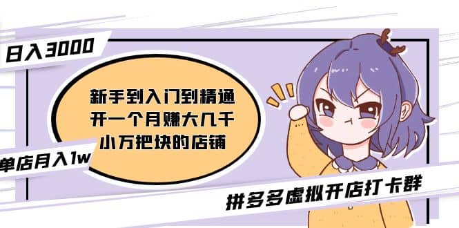 拼多多虚拟开店打卡群：新手到入门到精通-安哥网络创业副业