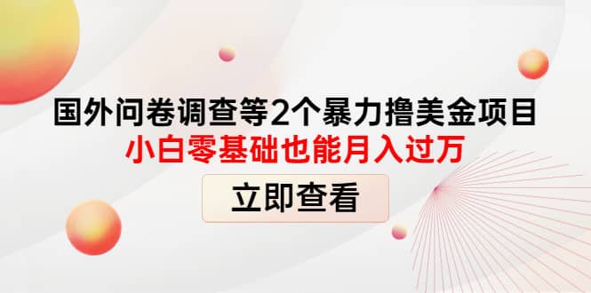 国外问卷调查等2个暴力撸美元项目，小白零基础也能月入过万-安哥网络创业副业
