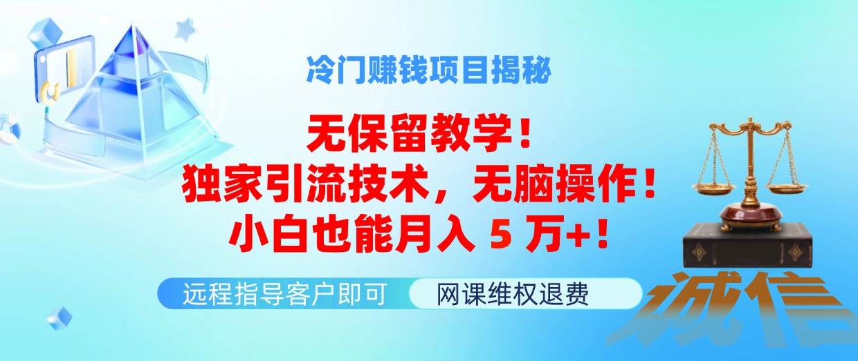 冷门赚钱项目无保留教学！独家引流技术，无脑操作！小白也能月入5万+！-安哥网络创业副业