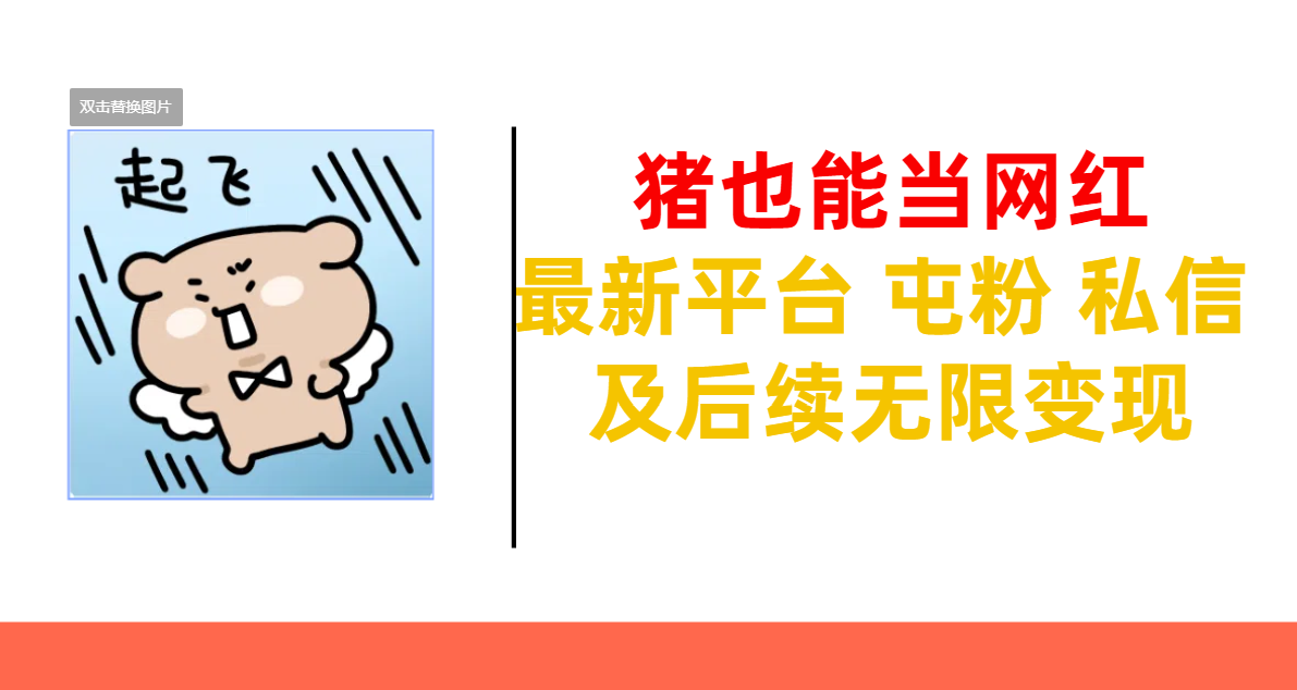 猪也能当网红-最新平台 屯粉 交流 私信 及后续无限变现-安哥网络创业副业