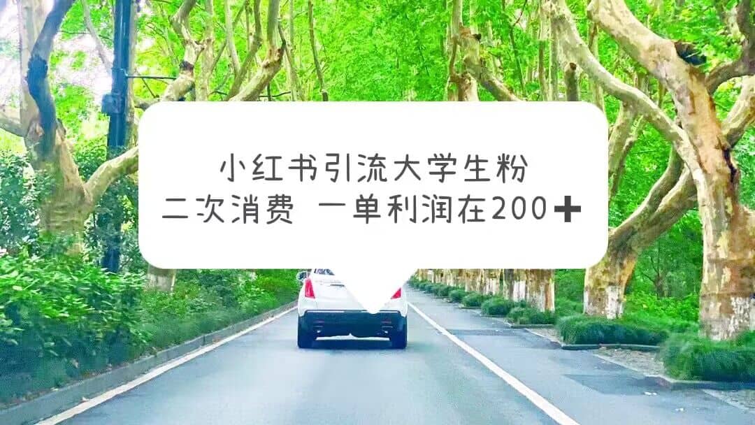 小红书引流大学生粉,变现项目,一单利润在200+(教程+资源)-安哥网络创业副业