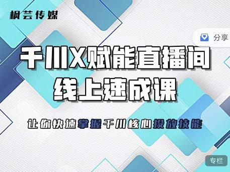 枫芸传媒-线上千川提升课，提升千川认知，提升千川投放效果-安哥网络创业副业