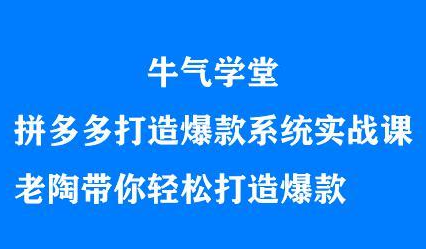 牛气学堂拼多多打造爆款系统实战课，老陶带你轻松打造爆款-安哥网络创业副业