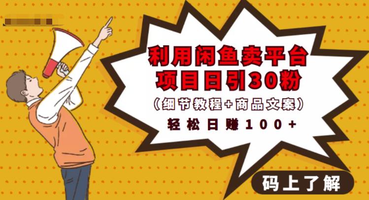 利用闲鱼卖平台项目课程资源日引流30+精准粉丝，轻松日赚100+，积累人脉可实现二次变现（细节教程+商品文案）-安哥网络创业副业