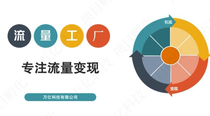 收费3980的流量工厂回粉项目，号称1个粉10元【详细玩法教程解析】-安哥网络创业副业