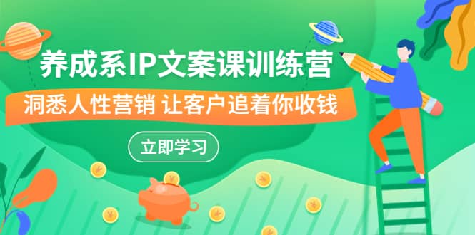 养成系-IP文案课训练营，文案心法的天花板 洞悉人性营销 让客户追着你收钱-安哥网络创业副业