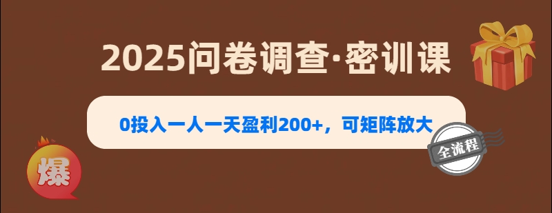 2025《问卷调查》0投入一人一天盈利200+，可矩阵放大-安哥网络创业副业