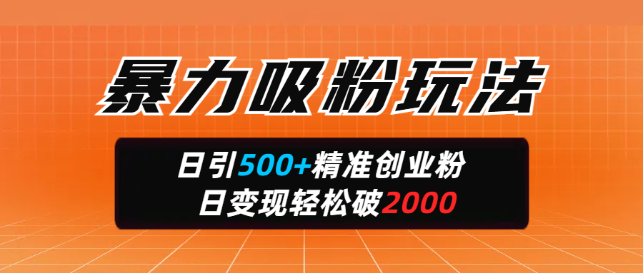 暴力吸粉玩法，日引500+精准创业粉，日变现轻松破2000-安哥网络创业副业