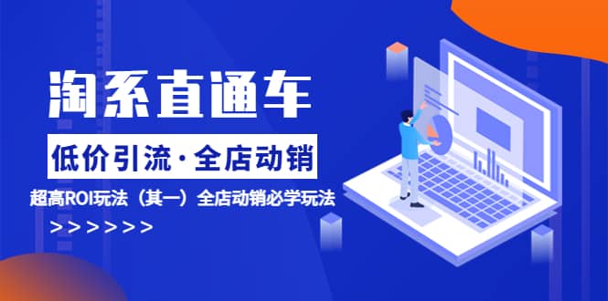 淘系直通车《低价·引流 全店·动销》超高ROI玩法（其一）全店动销必学玩法-安哥网络创业副业