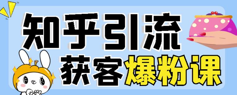 2022船长知乎引流+无脑爆粉技术：每一篇都是爆款，不吹牛，引流效果杠杠的-安哥网络创业副业