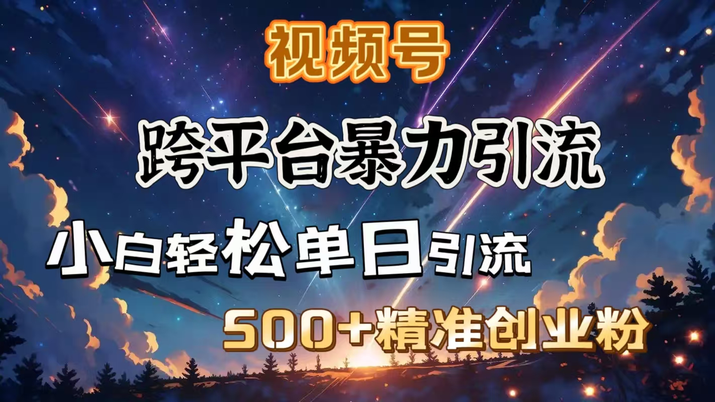 视频号跨平台暴力引流，小白轻松单日引流500＋精准创业粉-安哥网络创业副业