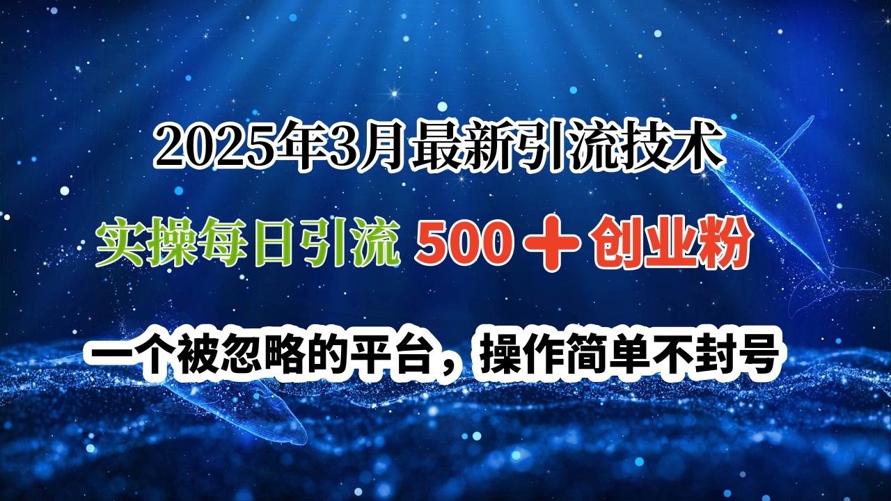 2025年3月最新引流技术，实操每日引流500➕创业粉，一个被忽略的平台，操作简单不封号-安哥网络创业副业