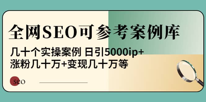 《全网SEO可参考案例库》几十个实操案例-安哥网络创业副业
