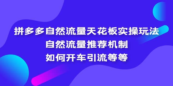 拼多多自然流量天花板实操玩法：自然流量推荐机制，如何开车引流等等-安哥网络创业副业