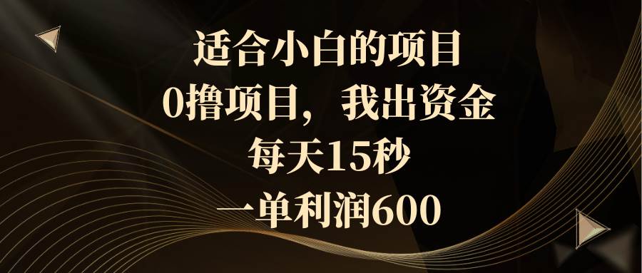 适合小白的项目，0撸项目，我出资金，每天15秒，一单利润600-安哥网络创业副业