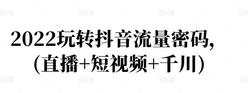 2022玩转抖音流量密码，(直播+短视频+千川)-安哥网络创业副业