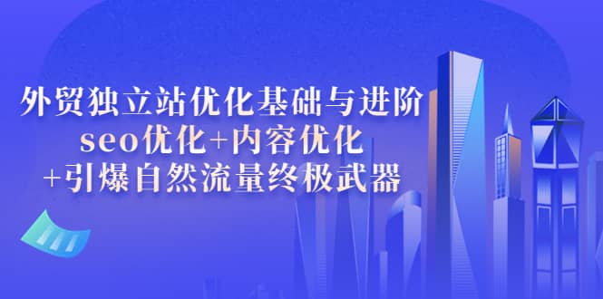 外贸独立站优化基础与进阶，seo优化+内容优化+引爆自然流量终极武器-安哥网络创业副业