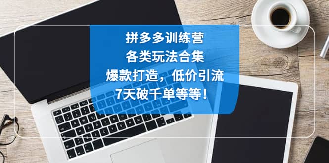 拼多多训练营：各玩法合集，爆款打造，低价引流，7天破千单等等-安哥网络创业副业