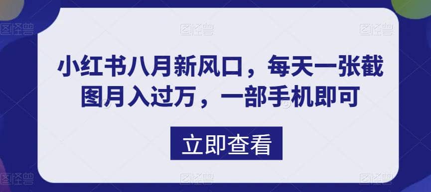 八月新风口，小红书虚拟项目一天收入1000+，实战揭秘-安哥网络创业副业