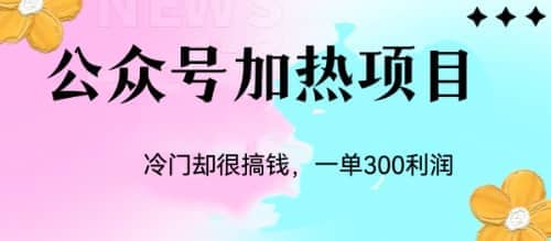 冷门公众号加热项目，一单利润300+-安哥网络创业副业