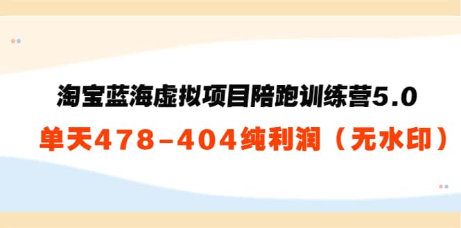 淘宝蓝海虚拟项目陪跑训练营5.0：单天478纯利润（无水印）-安哥网络创业副业