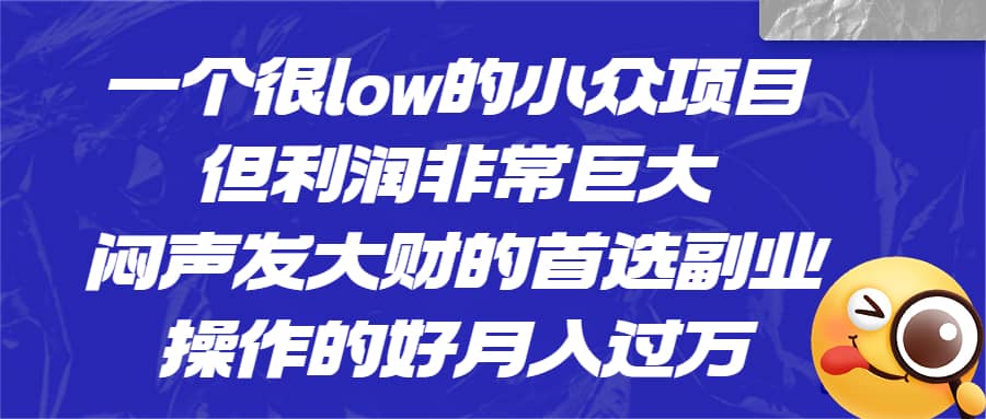 一个很low的小众项目，但利润非常巨大，闷声发大财的首选副业，月入过万-安哥网络创业副业