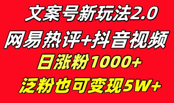 文案号新玩法 网易热评+抖音文案 一天涨粉1000+ 多种变现模式 泛粉也可变现-安哥网络创业副业