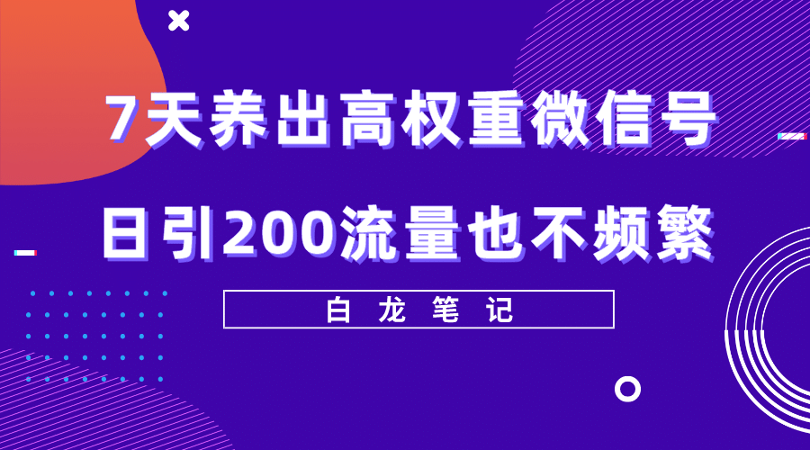 7天养出高权重微信号，日引200流量也不频繁，方法价值3680元-安哥网络创业副业