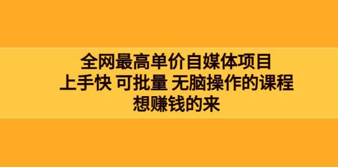全网最单高价自媒体项目：上手快 可批量 无脑操作的课程，想赚钱的来-安哥网络创业副业