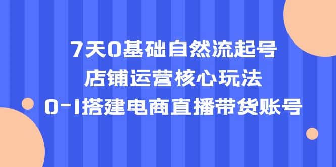 7天0基础自然流起号，店铺运营核心玩法，0-1搭建电商直播带货账号-安哥网络创业副业
