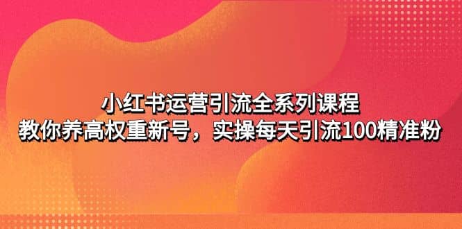 小红书运营引流全系列课程：教你养高权重新号-安哥网络创业副业