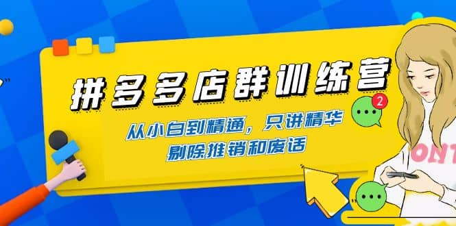 拼多多店群训练营：从小白到精通，只讲精华，剔除推销和废话-安哥网络创业副业