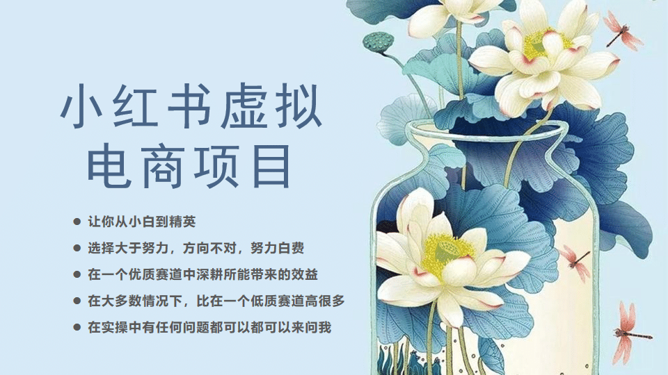 小红书虚拟电商从0到1，让你从小白到精英（20节实操课程）-安哥网络创业副业