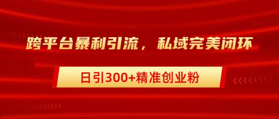 跨平台暴力引流，私域完美闭环，日引300+精准创业粉-安哥网络创业副业