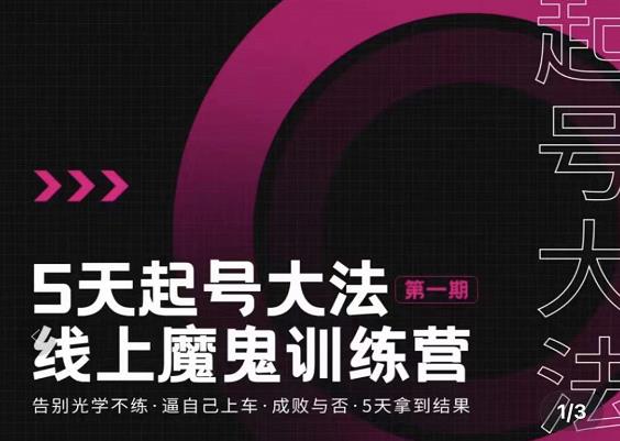 五天起号魔鬼训练营，告别光学不练，逼自己上车，成败与否，5天拿到结果-安哥网络创业副业