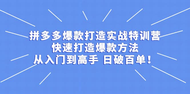 拼多多爆款打造实战特训营：快速打造爆款方法，从入门到高手 日破百单-安哥网络创业副业