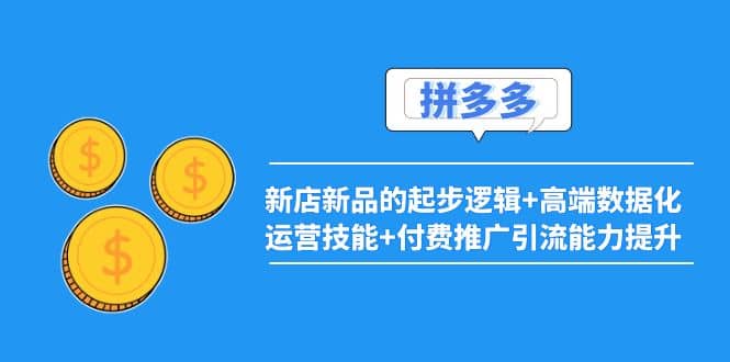 2022拼多多：新店新品的起步逻辑+高端数据化运营技能+付费推广引流能力提升-安哥网络创业副业