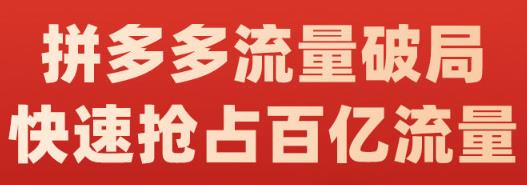阿杰·拼多多流量破局:如何打黑标，爆款的思路，拼多多流量框架，快速抢占百亿流量-安哥网络创业副业
