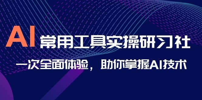 AI-常用工具实操研习社，一次全面体验，助你掌握AI技术-安哥网络创业副业