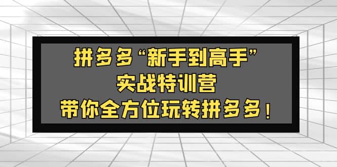 拼多多“新手到高手”实战特训营：带你全方位玩转拼多多-安哥网络创业副业