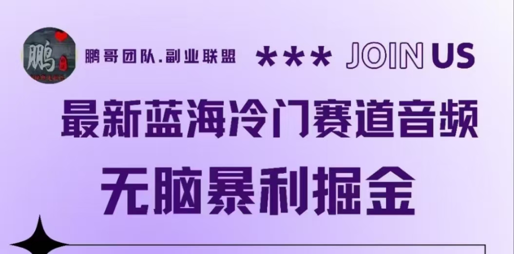 最新蓝海冷门赛道音频，无脑暴利掘金-安哥网络创业副业