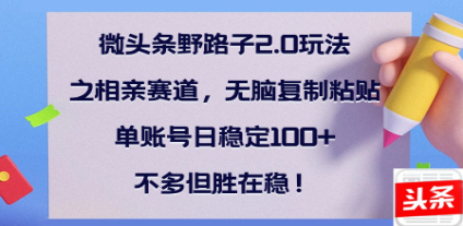 全网首发微头条野路子2.0玩法之相亲赛道，无脑搬砖复制粘贴，单账号日稳定300+保姆级教程-安哥网络创业副业