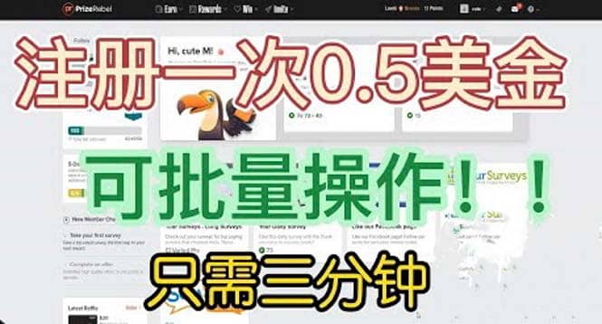 国外项目注册一次0.5美金 只需三分钟无脑操作 可批量放大 小白工作室福利-安哥网络创业副业