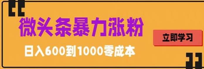 微头条暴力涨粉技巧搬运文案就能涨几万粉丝，简单0成本，日赚600-安哥网络创业副业