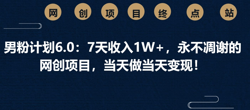 男粉计划6.0：7天收入1W+，永不凋谢的网创项目，当天做当天变现！-安哥网络创业副业