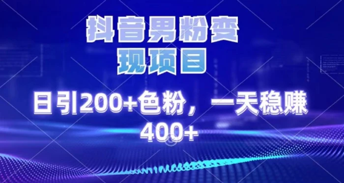 2025最新男粉项目 日引200 轻松月入2w+-安哥网络创业副业