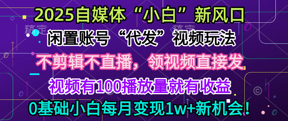 2025每月躺赚5w+新机会，闲置视频账号一键代发玩法，0粉不实名不剪辑，领了视频直接发，0基础小白也能日入300+-安哥网络创业副业