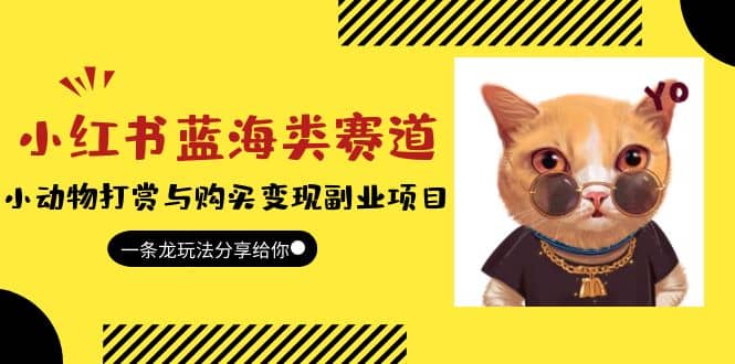 小红书蓝海类赛道：小动物打赏与购买变现副业项目，一条龙玩法分享给你-安哥网络创业副业