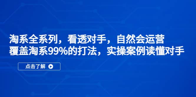 淘系全系列，看透对手，自然会运营，覆盖淘系99%·打法，实操案例读懂对手-安哥网络创业副业