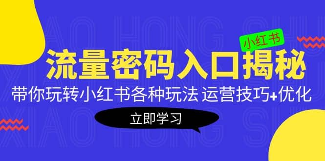 小红书流量密码入口揭秘：带你玩转小红书各种玩法 运营技巧+优化-安哥网络创业副业